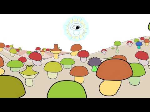 Súťažný Spot Múdra Huba - Slavo Turanec