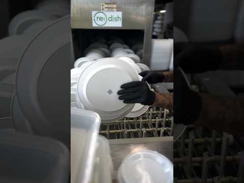 Meet Re:Dish | Single-Use Plastic Challenge Participant #SingleUsePlastics #Challenge