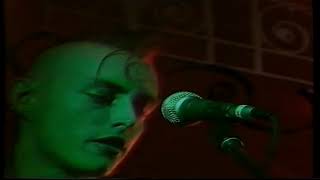 Bow Wow Wow   TV Savage