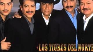 LOS HIJOS DE HERNANDEZ...LOS TIGRES DEL NORTE