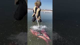 Mi Papá Salvó Los Peces Debajo Del Hielo 🧊❤️