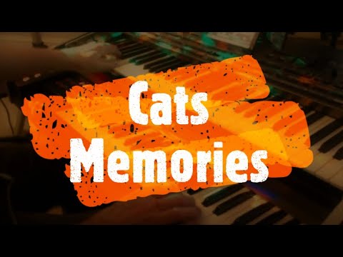 Memories Cats, Livecover auf der Wersi-Korg PA4x vom Autodidakten Erich