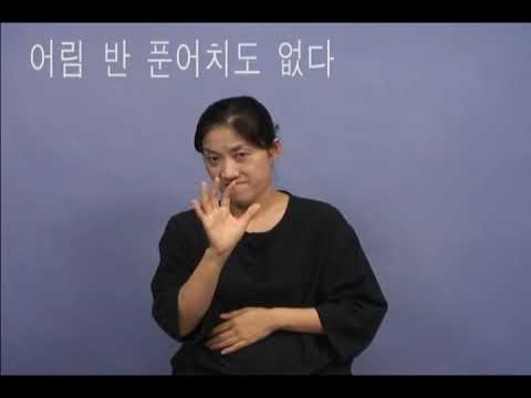 「본 적 없다」의 한국수어 표현