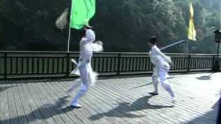 Wudang Kungfu Fighting - Sword vs. Horsetail Whisk 剑对佛尘