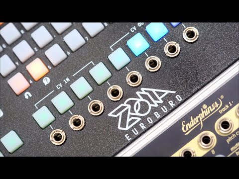 Empress Effects ZOIA EuroBuro // How Does it Sound?