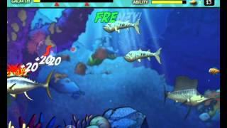 feeding frenzy 1 full crack feeding frenzy 1 full crack