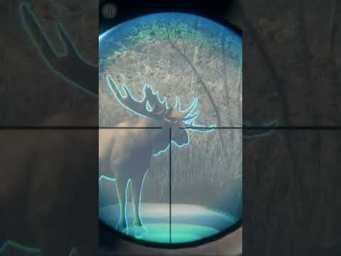 REALLY?!😲😲IS IT EVEN POSSIBLE? Moose Diamond Grind on Medved Taiga | the Hunter Call of the Wild