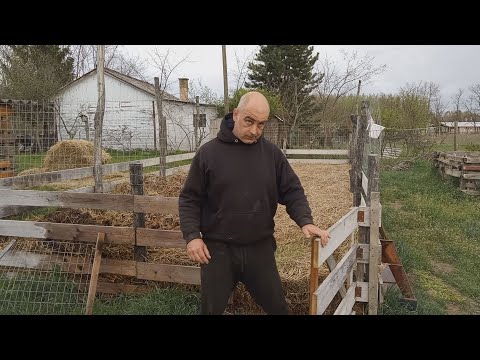 Mélymulcs 32 - Kísérletezzünk együtt, te és én! - kísérleti vetés - fejlődünk, de mik ezek a gyomok?