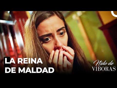 El Corazón Malo De Elvan - Nido De Víboras