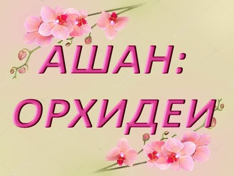 АШАН: ОРХИДЕИ,23.02.2019,ТЦ "Космопорт",г.Самара