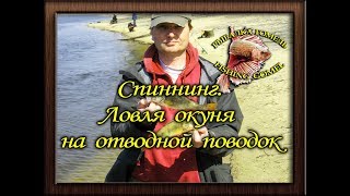Ловля окуня на отводной поводок летом в белоруссии