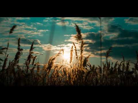 Nashiem Worryk - Мій Калуш (Instrumental)