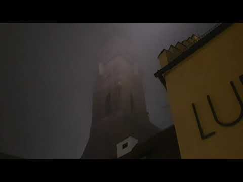 Amberg (AM) Altstadt kath. Basilika St. Martin : Läuten aller 7 Glocken (Vollgeläut (Erstläuten))