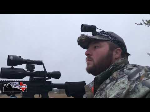 Coyote takes a Dirt Nap - ATN X-Sight 4k Pro - Wicked Lights A67iR