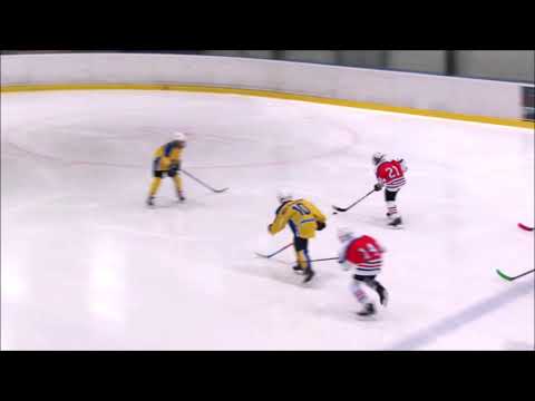 Jan Michel (HC Lvi 2009 - HC Milevsko 12:1, ročník 2009) 2021-22