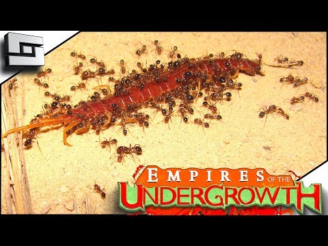 COLONY UNDER ATTACK! Empires of the Undergrowth Gameplay