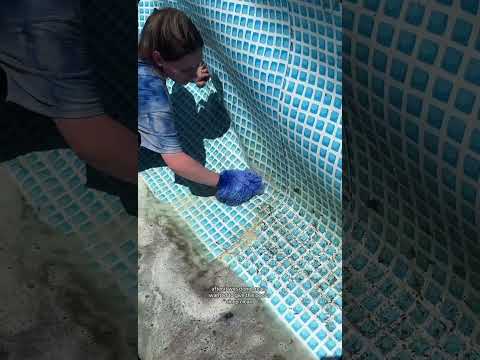 Cleaning my pool for the first time 😅🤮 #cleaningmotivation #cleaning #clean #pool