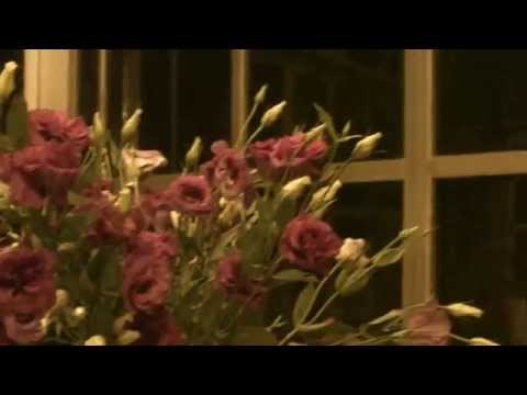 SOIS VÓS - FLOR DE JAGUBE - GERMANO 39