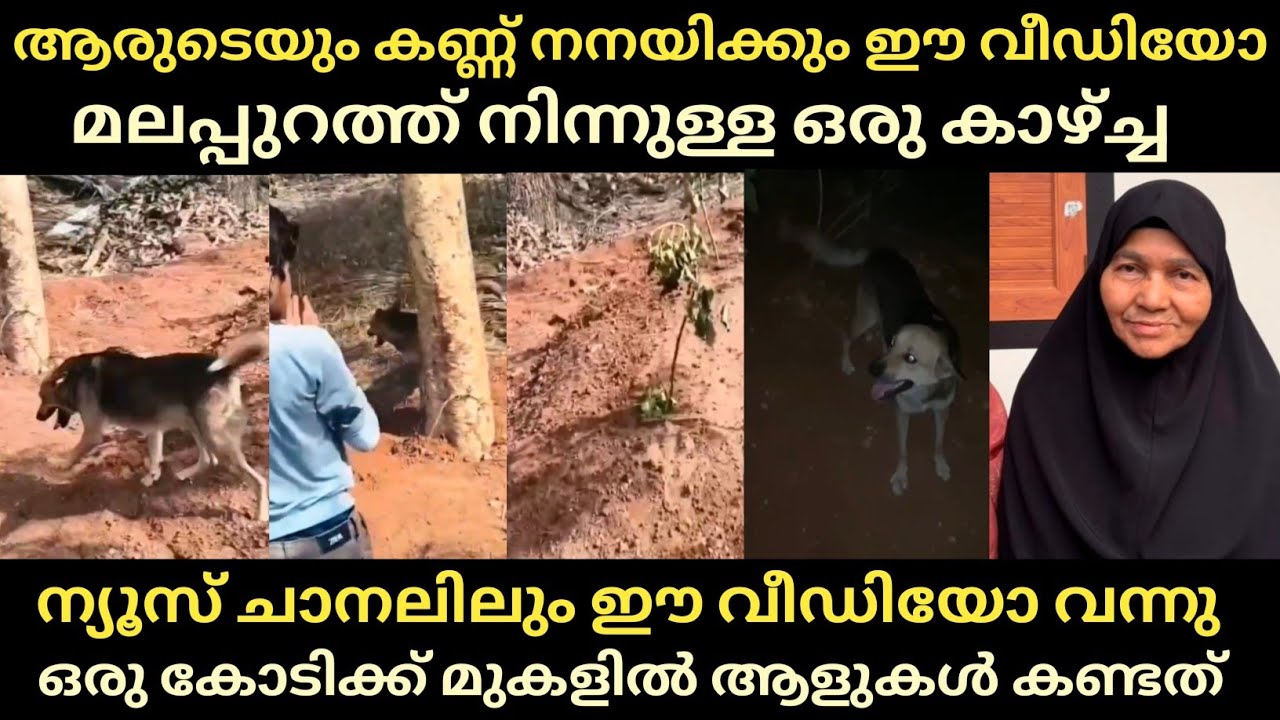 touching story from Pathappiriyam touching story from Pathappiriyam