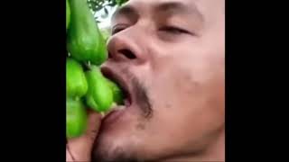 Download lagu Makan Buah Belimbing Meme Video 🗿🗿 #shorts mp3 Download lagu Makan Buah Belimbing Meme Video 🗿🗿 #shorts mp3