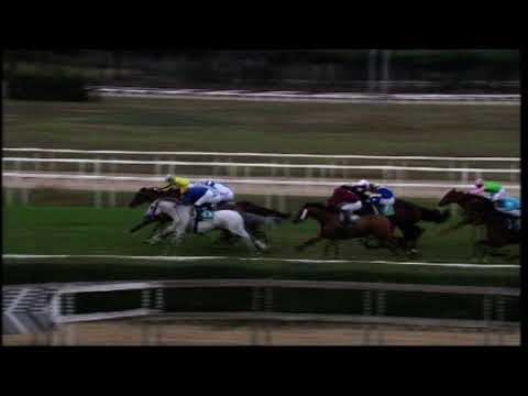 November 2, 2025 - Race 6 - LYDIA TESIO BET 365SCORES.IT Prize