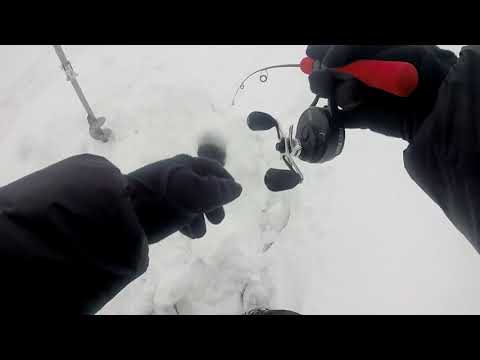 TDVS-67M до 20 грамм