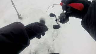 Удилище team dubna ice tdi 67hh
