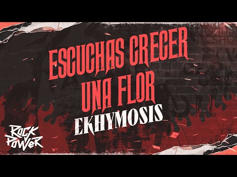 Escuchas Crecer Una Flor, Ekhymosis – Video