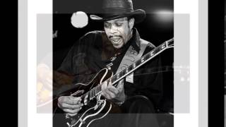 John Primer ~  ''Going Back Home''  2013