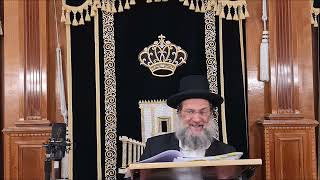 מטבע של אש - שיעור תורה מפי הרב יצחק כהן שליט"א / Rabbi Yitzchak Cohen Shlita Torah lesson