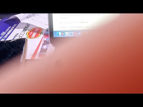 Volley, la coppa Italia a Roma. Piacenza è al primo trofeo con Elisabetta Curti, Trento perde finali