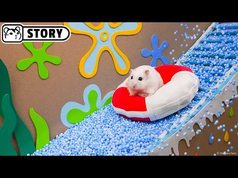 The Awesome Hamster Pool Maze in the Underwater World 🐹 Homura Ham
