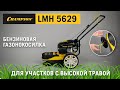 Триммер бензиновый Champion LMH5629 - видео №1