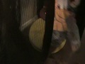 Anthony Had A Saggy Soggy Diaper