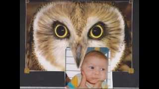 Notre chanson d'amour...