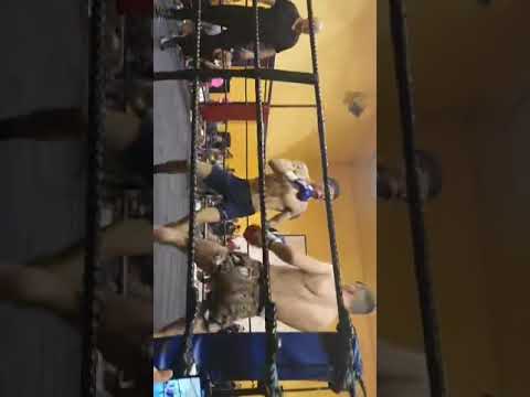 Nikola Ivanovic vs Matthew Whyte (boxing) Round 1