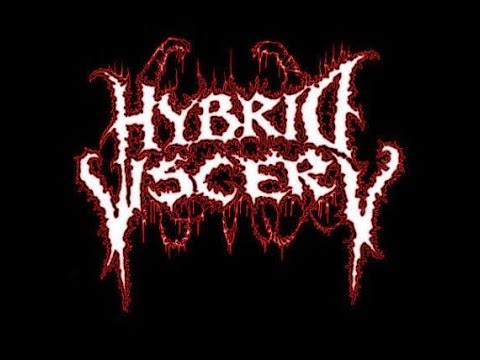 Hybrid Viscery feat. Karl @ MCP Apache