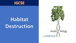 IGCSE biology Human influence on the environment- Habitat destruction-Deforestation