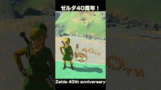 ゼルダ40周年おめでとう！【ゼルダの伝説 ティアーズオブザキングダム】