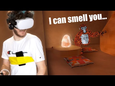 CRAZY 30 Player Gorilla Tag VR Hide and Seek...