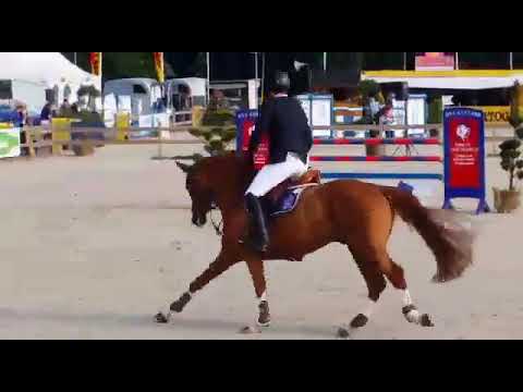 For Your Pleasure (For Pleasure x Polydor x Ramiro's Son)