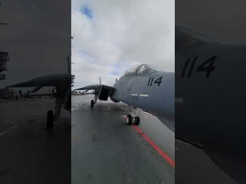 F-14 Tuesday walkaround! #shorts #f14 #aircombat