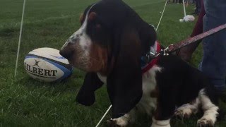 Brandywine Riot vs.  Lancaster Thorns