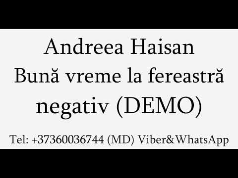Andreea Haisan - Buna vreme la fereastra (Negativ) DEMO