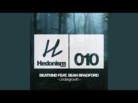 Undergrowth (ZDS Radio Edit)