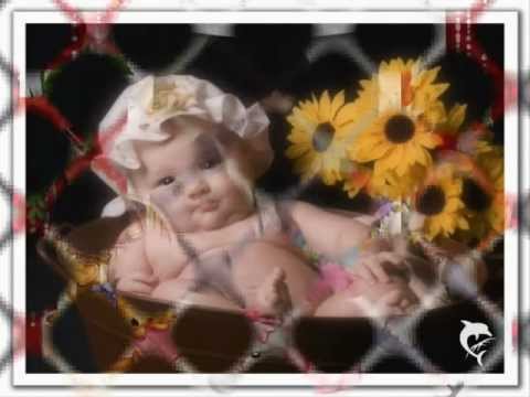 Roy Black - Von Herz zu Herz