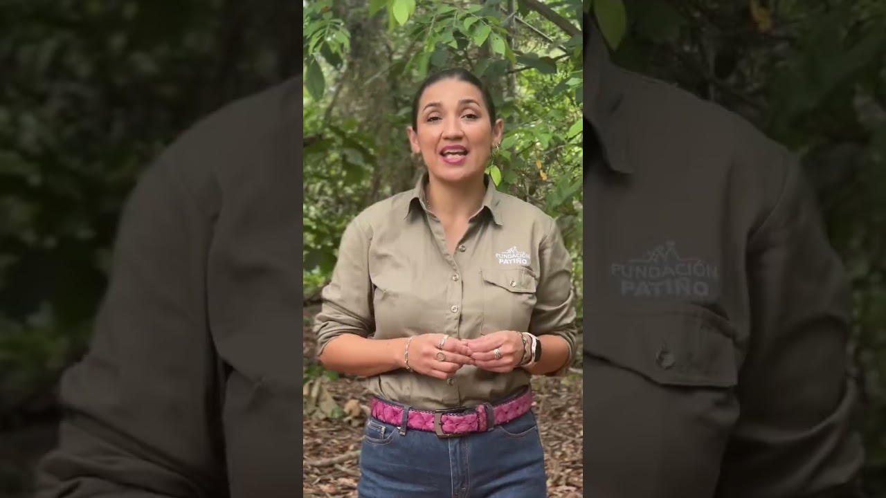 El Murciélago más pequeño del mundo pesa 2 gramo