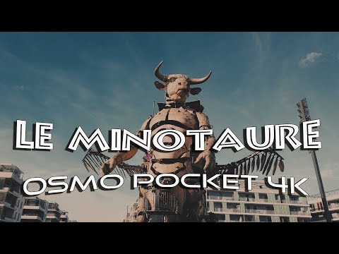 OSMO POCKET -  MINOTAURE Toulouse - Halle de la Machine
