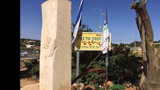 Rejuvenation: The Present of Jerusalem Day