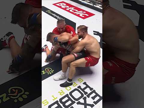 Ferrari z OJCEM robią z Alana JESIEŃ ŚREDNIOWIECZA